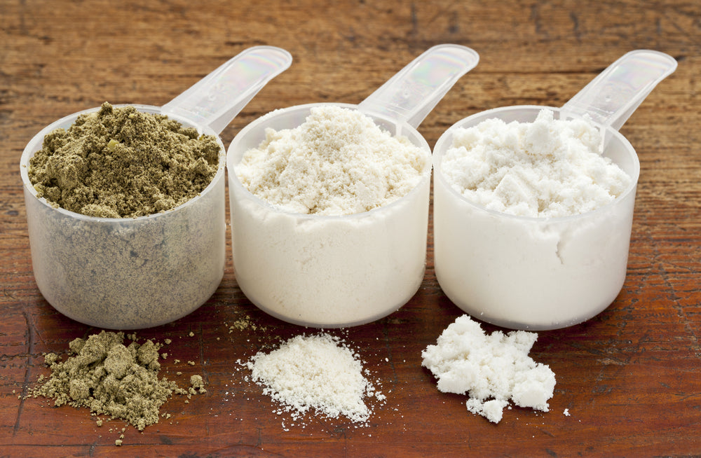 PROTEIN 101